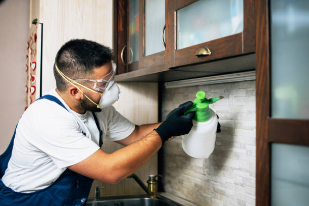 Best Local Pest Control Services  in Tyndall Af, FL