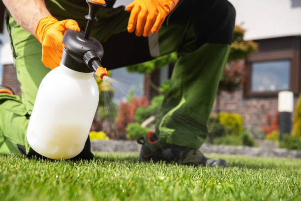 Best Wildlife Control Services  in Tyndall Af, FL