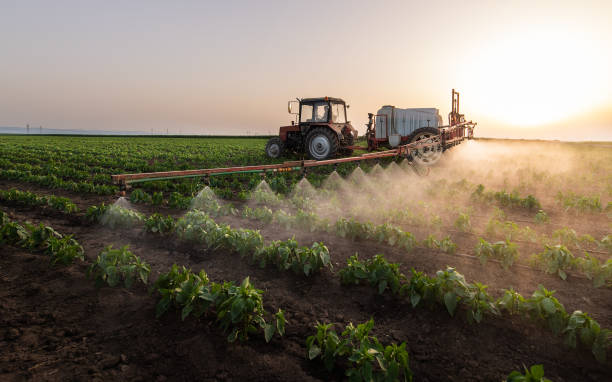 Reliable Tyndall Af, FL Pest Control Solutions