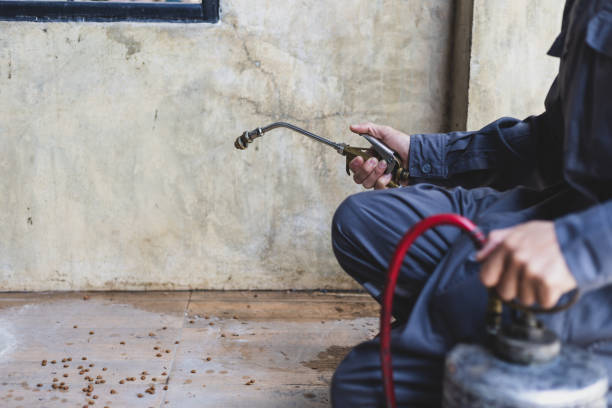Best Wasp Removal Services  in Tyndall Af, FL